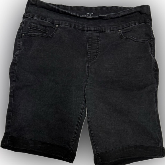 Terra & Sky Women's Dark Denim Jean Shorts | Sz 14W - Picture 1 of 2